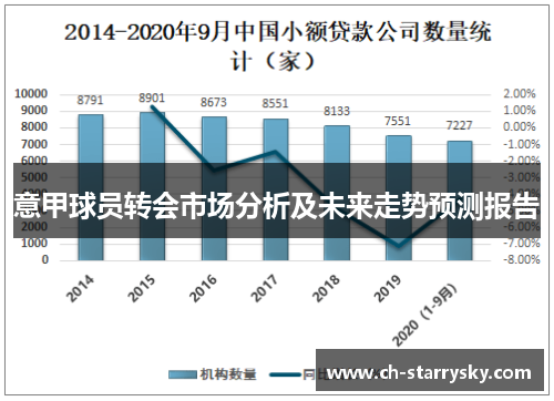 意甲球员转会市场分析及未来走势预测报告