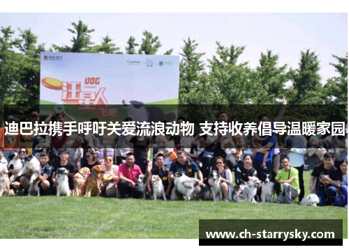 迪巴拉携手呼吁关爱流浪动物 支持收养倡导温暖家园