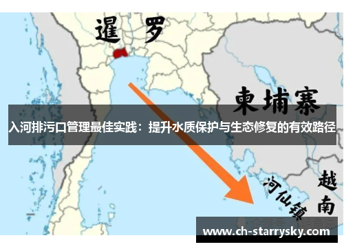 入河排污口管理最佳实践：提升水质保护与生态修复的有效路径