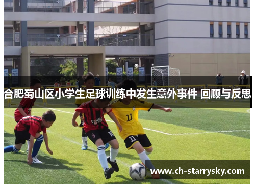 合肥蜀山区小学生足球训练中发生意外事件 回顾与反思