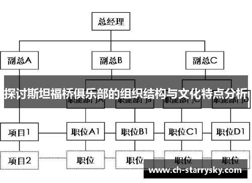 探讨斯坦福桥俱乐部的组织结构与文化特点分析