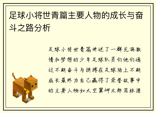 足球小将世青篇主要人物的成长与奋斗之路分析